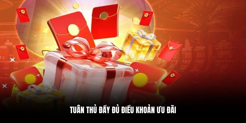 Tuân thủ đầy đủ điều khoản ưu đãi