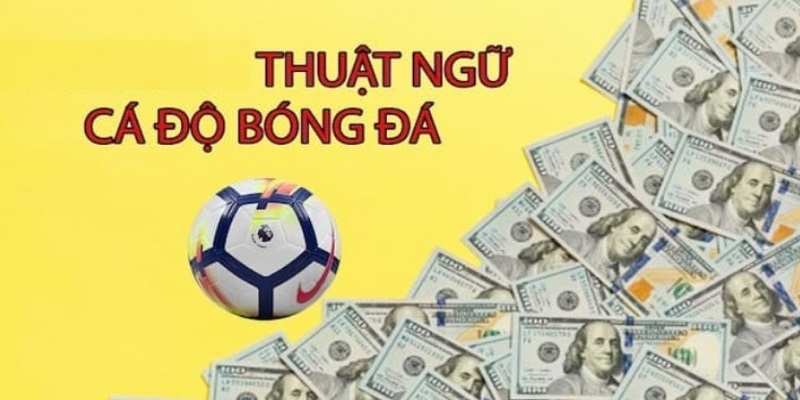 Những cụm từ liên quan đến cược bóng đá